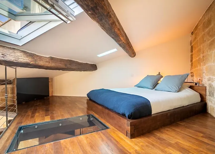 L\'Olivier Loft Hh - Netflix & Prime - Centre Corum